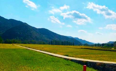 �������r���󣨱؂�29ƪ��