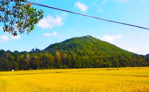 ���r(n��ng)���պ���(b��o)�����x22ƪ��