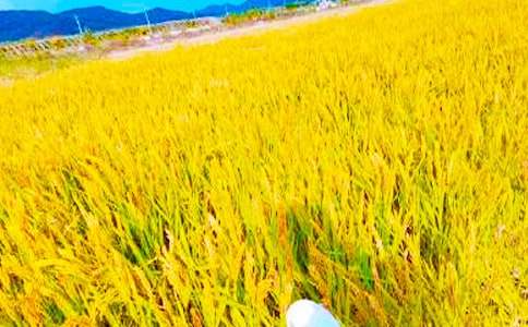 [ͨ��]���r���յĺ���