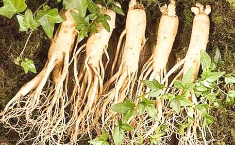 �P������������С�˅���