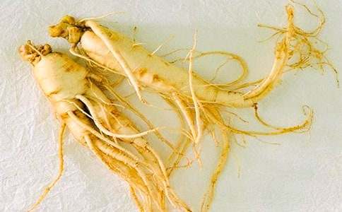 �^���˅����V�A��Ո��(�R��11ƪ)