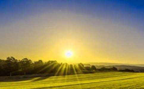 �P(gu��n)���ճ�������15ƪ[��Ʒ]