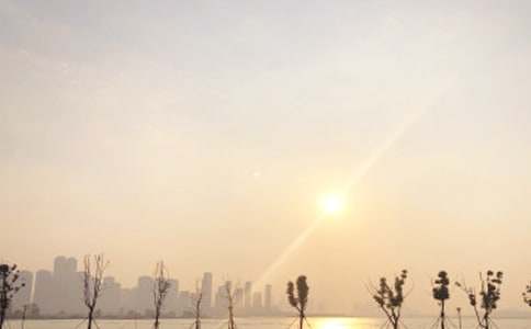 看日出作文(集合15篇)