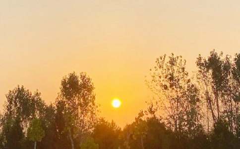 1月1日出生的是什么星座