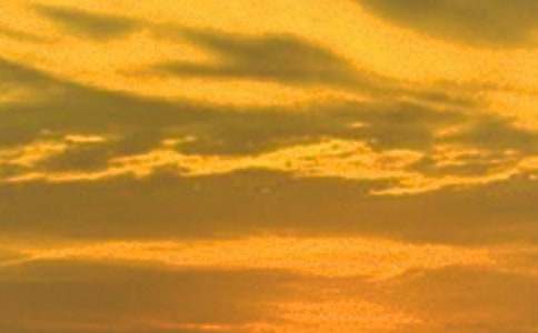 �P(gu��n)����������