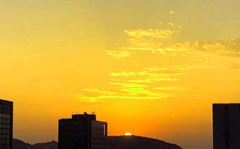 迷人的日落作文