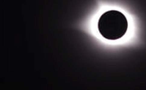 ����ʳ����