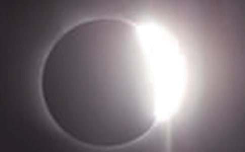 ��ʳ������