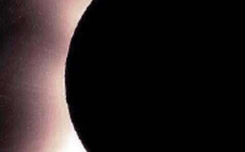 �P����ʳ������100��