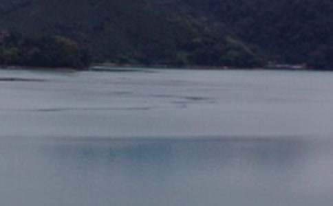 ������̶���̌W(xu��)�O(sh��)Ӌ(j��)