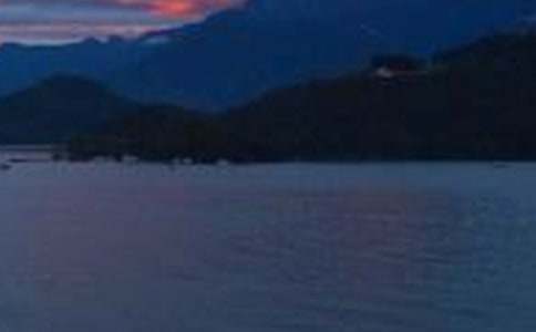 ������̶�Ă��f���Ľ̌W�����c����