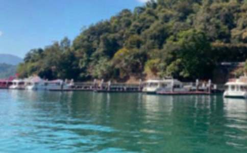 ����̶�Ă��f���̌W�OӋ