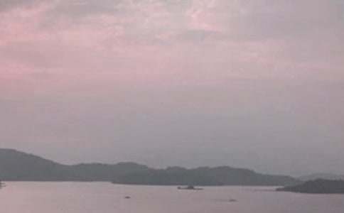 ������̶�Ă��f���̌W�OӋ