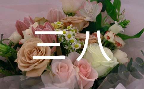 三八商場活動方案