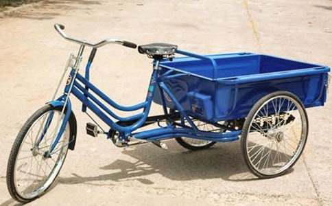 那輛三輪車(chē)作文