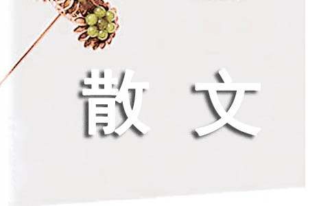 心靈的修養(yǎng)散文