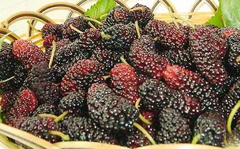 [����]ժɣ������