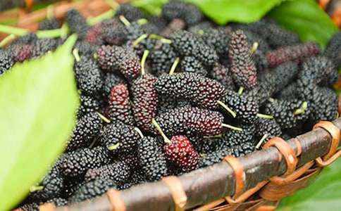 ���r(n��ng)���ժɣ��С�W(xu��)����