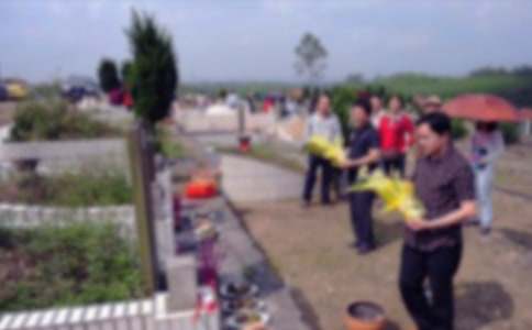 ��Ĺ�ĵ��w��