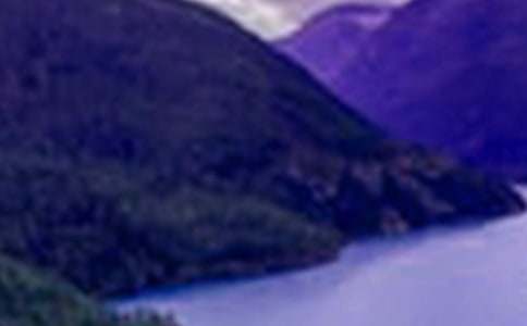 �P(gu��n)��ɽˮ���İ�