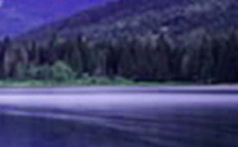 關(guān)于山水作文