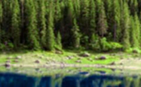 王維山水詩的藝術(shù)特點