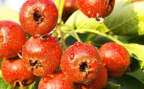 ɽ�Ƭ����������