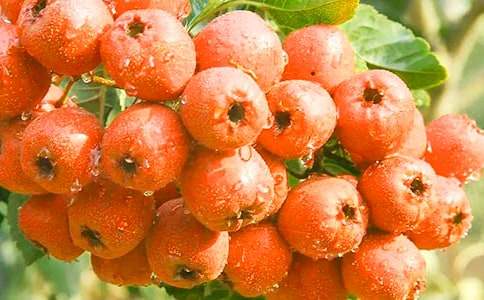 ɽ高�֮�ٽ����Z�