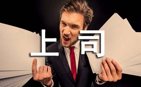 給上司的道歉信15篇