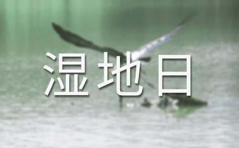 2016�����������ǎ�����