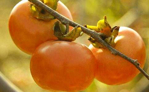 �������ζ����