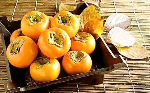 雪柿子讀后感想最新