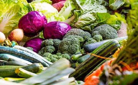 水果蔬菜招標(biāo)合同