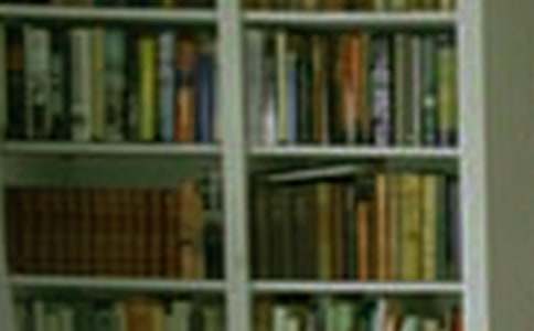 �����Ļ���(bi��o)�Z(2ƪ)