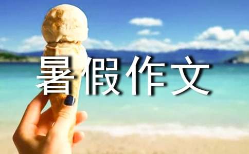 酸甜苦辣的暑假作文