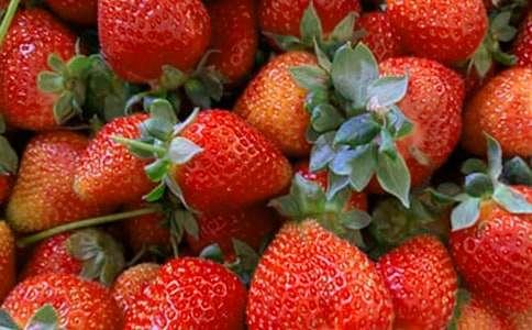 制作水果拼盤作文集錦【11篇】