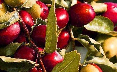 ˮ��ɳ���������ľ��x��4ƪ��