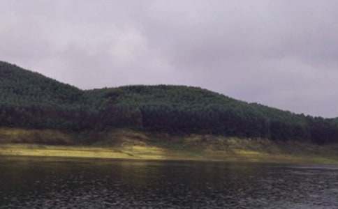 ˮ�쌍��(x��)���