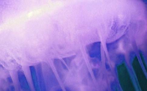 ˮĸС�W����