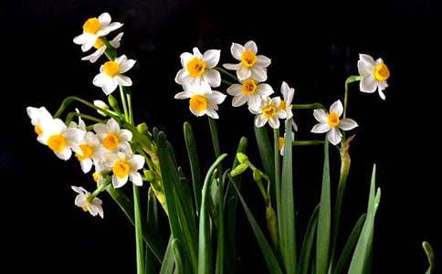 ������ˮ�����x���9ƪ���ϼ���