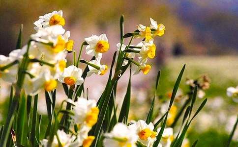 ˮ�ɻ����ļ��\15ƪ