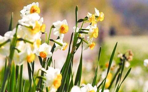 �����T��ˮ�ɻ�����15ƪ