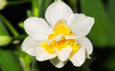 ����(j��ng)�䣩ˮ�ɻ�����