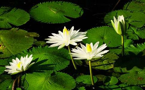 ˯ɏ���Bֳ�����cע�����