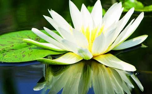 ˯ɏ�Bֳ����