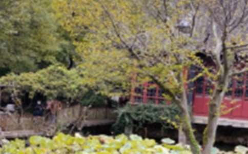 �K�݈@�ֹ��x��x��