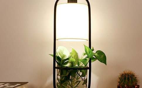 ����С�_(t��i)�������\��[9ƪ]