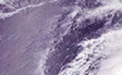 臺風的通告【集合】