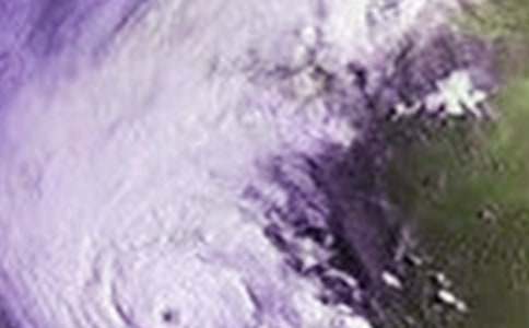 預(yù)防臺(tái)風(fēng)通知范文