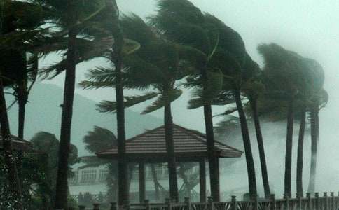 臺風(fēng)的`通告集合